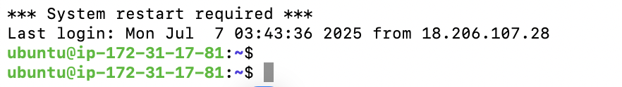 image-20250707114632558